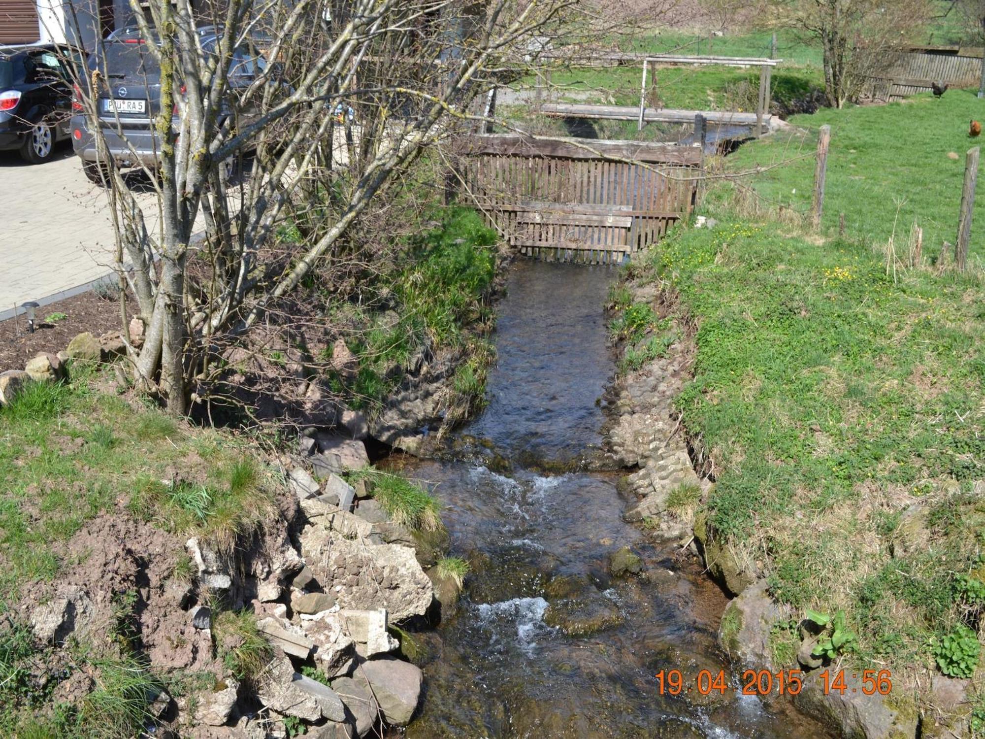 Quiet Apartment Along A Stream In Halenfeld Sellerich Exterior photo